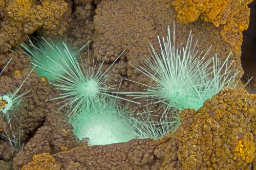 Agardite-(Y)<br />Big 3 Mine, Railroad Springs District, Esmeralda County, Nevada, USA<br />FOV = 4.0 mm<br /> (Author: Doug)