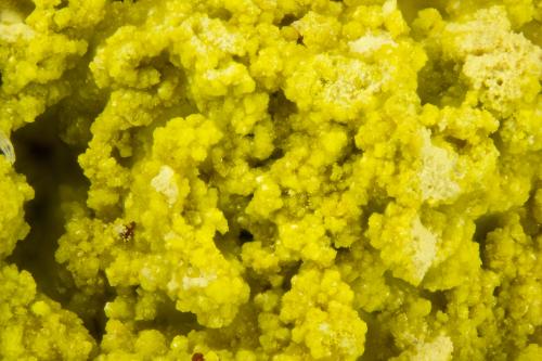 Gartrellite<br />Gold Hill Mine, Gold Hill, Gold Hill District, Tooele County, Utah, USA<br />FOV = 2.0 mm<br /> (Author: Doug)