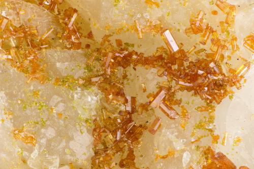 Vanadinite, Mottramite<br />Shelby Mine, White Hills, Cerbat Mountains, Gold Basin District, Mohave County, Arizona, USA<br />FOV = 3.1 mm<br /> (Author: Doug)