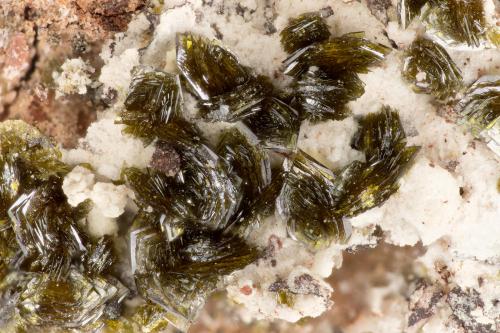 Mottramite<br />Ford Mine, Tucson Wash, Mammoth, Mammoth District, Pinal County, Arizona, USA<br />FOV = 3.4 mm<br /> (Author: Doug)