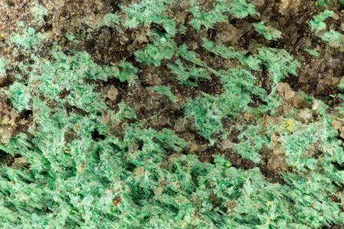 Malachite<br />Ridenaur Mine, Prospect Canyon District, Coconino County, Arizona, USA<br />FOV = 3.6 mm<br /> (Author: Doug)