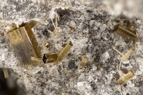 Fluoro-edenite<br />Lemolo Lake Quarry, Douglas County, Oregon, USA<br />FOV = 2.0 mm<br /> (Author: Doug)