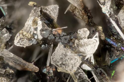 Hedenbergite, Albite, Fluorapatite, Ilmenite<br />Lemolo Lake Quarry, Douglas County, Oregon, USA<br />FOV = 2.7 mm<br /> (Author: Doug)