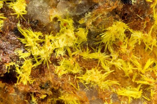 Uranophane<br />J & L Alunite Mine, Marysvale, Marysvale District (Marysvale Uranium area), Piute County, Utah, USA<br />FOV = 2.9 mm<br /> (Author: Doug)