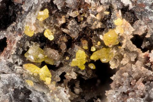 Wulfenite<br />Deering Spring, Santa Rita Mountains, Helvetia-Rosemont District, Pima County, Arizona, USA<br />FOV = 2.8 mm<br /> (Author: Doug)