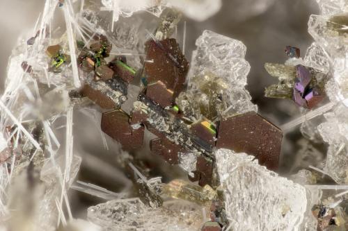 Ilmenite<br />Lemolo Lake Quarry, Douglas County, Oregon, USA<br />FOV = 2.9 mm<br /> (Author: Doug)