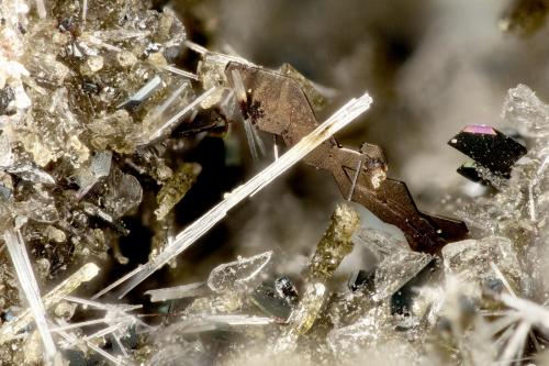 Ilmenite<br />Lemolo Lake Quarry, Douglas County, Oregon, USA<br />FOV = 2.8 mm<br /> (Author: Doug)