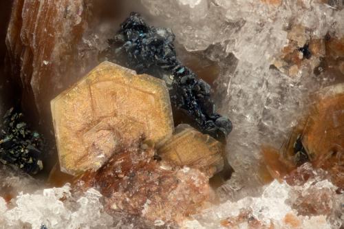 Phlogopite, Hematite<br />Summit Rock, Klamath County, Oregon, USA<br />FOV = 1.3 mm<br /> (Author: Doug)
