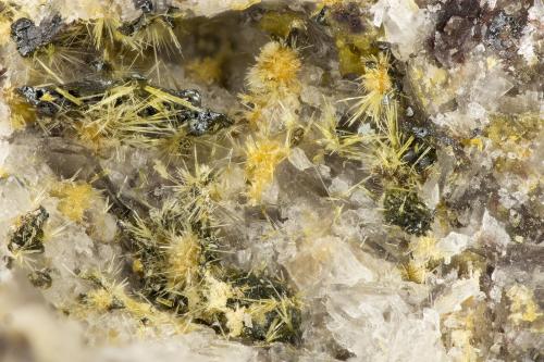 Aegirine, Hematite<br />Summit Rock, Klamath County, Oregon, USA<br />FOV = 2.6 mm<br /> (Author: Doug)