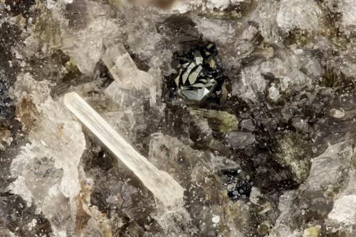 Fluorapatite, Hematite<br />Summit Rock, Klamath County, Oregon, USA<br />FOV = 2.3 mm<br /> (Author: Doug)