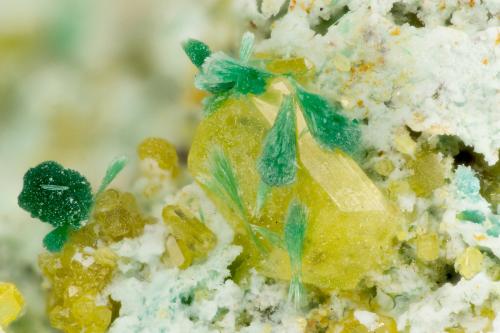 Wulfenite, Malachite<br />Montes Santa Rita, Distrito Helvetia-Rosemont, Condado Pima, Arizona, USA<br />FOV = 2.8 mm<br /> (Author: Doug)