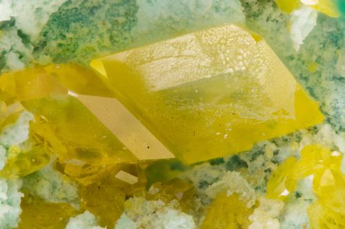 Wulfenite<br />Santa Rita Mountains, Helvetia-Rosemont District, Pima County, Arizona, USA<br />FOV = 3.3 mm<br /> (Author: Doug)