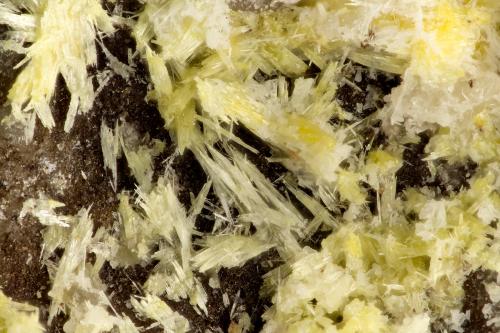 Maricopaite, Mimite<br />Moon Anchor Mine, Hummingbird Spring, Osborn District, Bighorn Mountains, Maricopa County, Arizona, USA<br />FOV = 1.8 mm<br /> (Author: Doug)