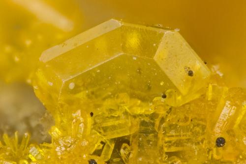 Wulfenite<br />Rawhide Mine, Rawhide Wash, Artillery Mountains, Mohave County, Arizona, USA<br />FOV = 1.1 mm<br /> (Author: Doug)