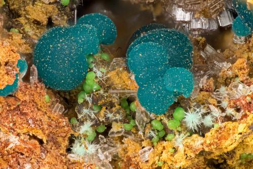 Rosasite<br />Simon Mine, Bell District, Mineral County, Nevada, USA<br />FOV = 3.8 mm<br /> (Author: Doug)