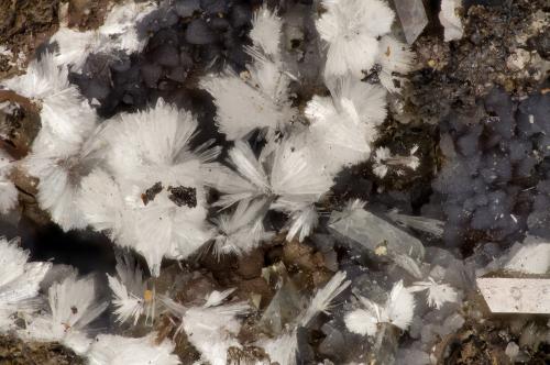 Hemimorphite<br />Simon Mine, Bell District, Mineral County, Nevada, USA<br />FOV = 3.8 mm<br /> (Author: Doug)