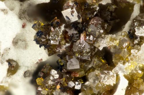 Pharmacosiderite, Carminite<br />Georgine Mine, Candelaria District, Mineral County, Nevada, USA<br />FOV = 1.3 mm<br /> (Author: Doug)