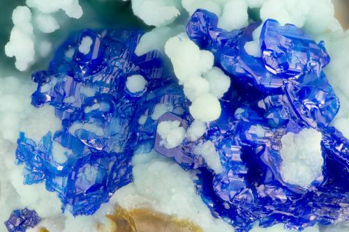 Linarite<br />Blanchard Mine (Portales-Blanchard Mine), Bingham, Hansonburg District, Socorro County, New Mexico, USA<br />FOV = 3.4 mm<br /> (Author: Doug)