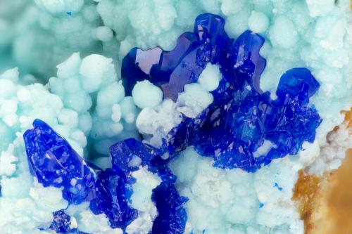 Linarite<br />Blanchard Mine (Portales-Blanchard Mine), Bingham, Hansonburg District, Socorro County, New Mexico, USA<br />FOV = 3.3 mm<br /> (Author: Doug)