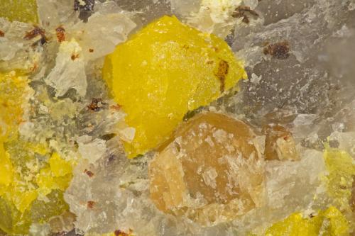 Pottsite, Grossular<br />Linka Mine, Spencer Hot Springs, Austin, Lander County, Nevada, USA<br />FOV = 1.7 mm<br /> (Author: Doug)