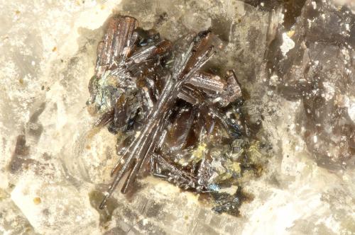 Pseudpbrookite<br />Summit Rock, Klamath County, Oregon, USA<br />FOV = 0.8 mm<br /> (Author: Doug)