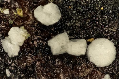 Fluorapatite<br />Tyrone Mine, Tyrone Area, Burro Mountains District, Grant County, New Mexico, USA<br />FOV = 1.8 mm<br /> (Author: Doug)
