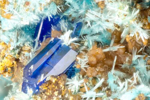 Linarite, Serpierite<br />Friedrichssegen Mine, Frücht, Bad Ems District, Lahn Valley, Rhineland-Palatinate/Rheinland-Pfalz, Germany<br />FOV = 1.6 mm<br /> (Author: Doug)