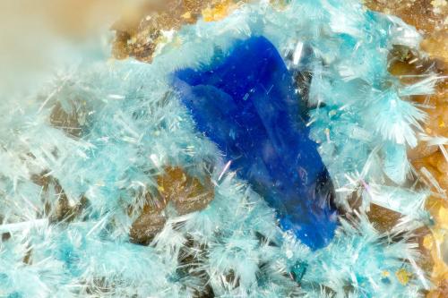 Linarite, Serpierite<br />Friedrichssegen Mine, Frücht, Bad Ems District, Lahn Valley, Rhineland-Palatinate/Rheinland-Pfalz, Germany<br />FOV = 1.3 mm<br /> (Author: Doug)