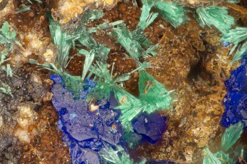 Malachite, Azurite<br />Friedrichssegen Mine, Frücht, Bad Ems District, Lahn Valley, Rhineland-Palatinate/Rheinland-Pfalz, Germany<br />FOV = 1.7 mm<br /> (Author: Doug)