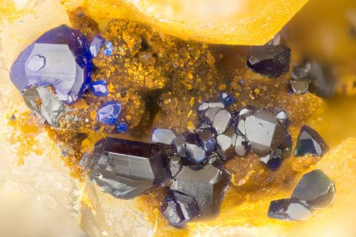 Azurite<br />Friedrichssegen Mine, Frücht, Bad Ems District, Lahn Valley, Rhineland-Palatinate/Rheinland-Pfalz, Germany<br />FOV = 1.4 mm<br /> (Author: Doug)