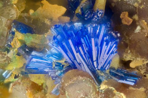 Linarite<br />Friedrichssegen Mine, Frücht, Bad Ems District, Lahn Valley, Rhineland-Palatinate/Rheinland-Pfalz, Germany<br />FOV = 1.5 mm<br /> (Author: Doug)