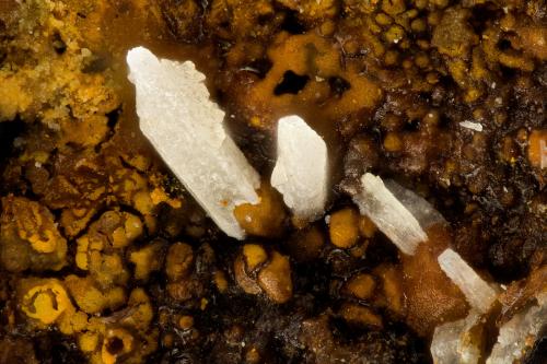 Cerussite<br />Friedrichssegen Mine, Frücht, Bad Ems District, Lahn Valley, Rhineland-Palatinate/Rheinland-Pfalz, Germany<br />FOV = 1.3 mm<br /> (Author: Doug)