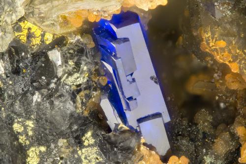 Linarite<br />Friedrichssegen Mine, Frücht, Bad Ems District, Lahn Valley, Rhineland-Palatinate/Rheinland-Pfalz, Germany<br />FOV = 1.8 mm<br /> (Author: Doug)