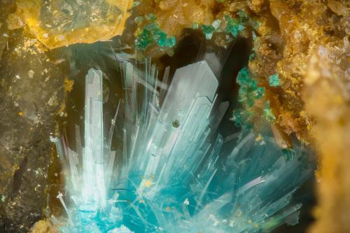 Serpierite, Brochantite<br />Mina Friedrichssegen, Frücht, Distrito Bad Ems, Valle Lahn, Renania-Palatinado/Rheinland-Pfalz, Alemania<br />FOV = 1.7 mm<br /> (Author: Doug)