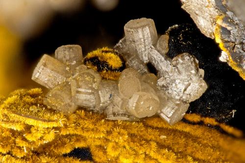 Pyromorphite, Goethite<br />Mina Friedrichssegen, Frücht, Distrito Bad Ems, Valle Lahn, Renania-Palatinado/Rheinland-Pfalz, Alemania<br />FOV = 1.5 mm<br /> (Author: Doug)