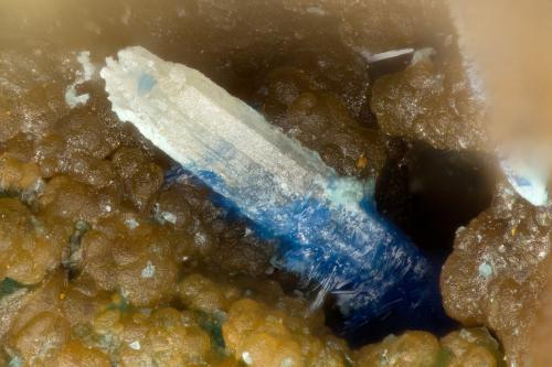 Cerussite, Linarite<br />Friedrichssegen Mine, Frücht, Bad Ems District, Lahn Valley, Rhineland-Palatinate/Rheinland-Pfalz, Germany<br />FOV = 1.1 mm<br /> (Author: Doug)