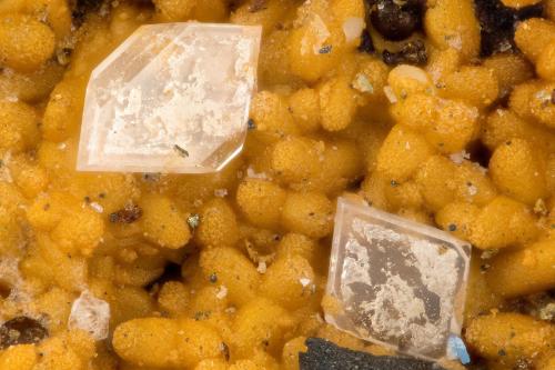 Gypsum<br />Friedrichssegen Mine, Frücht, Bad Ems District, Lahn Valley, Rhineland-Palatinate/Rheinland-Pfalz, Germany<br />FOV= 0.9 mm<br /> (Author: Doug)
