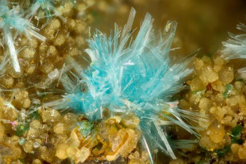 Serpierite<br />Friedrichssegen Mine, Frücht, Bad Ems District, Lahn Valley, Rhineland-Palatinate/Rheinland-Pfalz, Germany<br />FOV = 1.7 mm<br /> (Author: Doug)