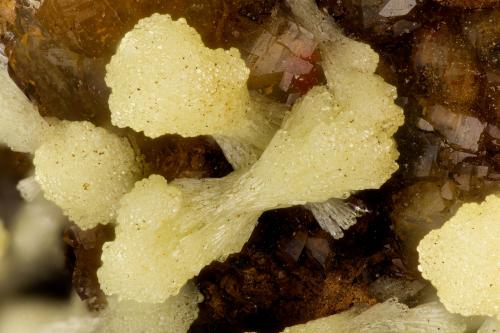 Mimetite<br />Potosí Mine, Santo Domingo (Francisco Portillo), Santa Eulalia District, Municipio Aquiles Serdán, Chihuahua, Mexico<br />FOV = 3.0 mm<br /> (Author: Doug)