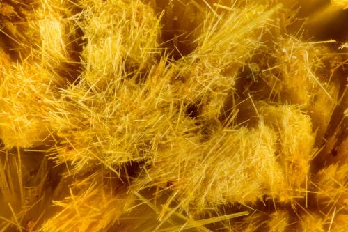 Cacoxenite<br />Three Oaks Gap workings, Three Oaks Gap, Polk County, Arkansas, USA<br />FOV = 1.6 mm<br /> (Author: Doug)