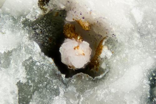 Arisite-(Ce)<br />Poudrette Quarry, Mont Saint-Hilaire, La Vallée-du-Richelieu RCM, Montérégie, Québec, Canada<br />FOV = 2.0 mm<br /> (Author: Doug)