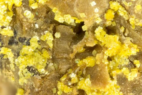 Carnotite<br />Mina Monument No. 1, Monument Valley, Reserva Indios Navajo, Condado Navajo, Arizona, USA<br />FOV = 1.5 mm<br /> (Author: Doug)