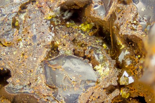Segnitite<br />Higher Roughton Gill (Balliway Rigg), Roughton Gill, Caldbeck Fells, Allerdale, (antes Cumberland), Cumbria, Inglaterra / Reino Unido<br />FOV = 2.0 mm<br /> (Author: Doug)