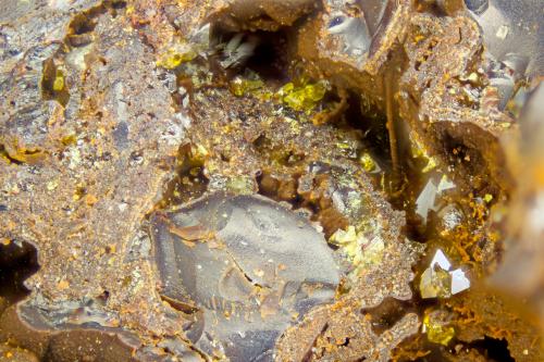 Segnitite<br />Higher Roughton Gill (Balliway Rigg), Roughton Gill, Caldbeck Fells, Allerdale, former Cumberland, Cumbria, England / United Kingdom<br />FOV = 2.0 mm<br /> (Author: Doug)