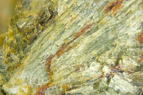 Actinolite<br />Haytor Mine, Ilsington, Teignbridge District, Devon, England / United Kingdom<br />FOV = 2.0 mm<br /> (Author: Doug)