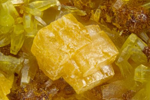 Wulfenite<br />Coombe Beck, Buttermere, Allerdale District, former Cumberland, Cumbria, England / United Kingdom<br />FOV = 2.0 mm<br /> (Author: Doug)