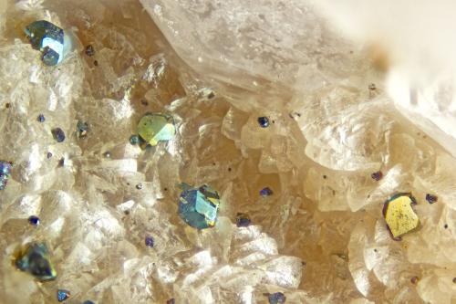 Chalcopyrite<br />Abersoch, Llanengan, Gwynedd, Wales / United Kingdom<br />FOV = 2.0 mm<br /> (Author: Doug)