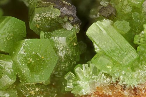 Pyromorphite<br />Penberthy Croft Mine, Saint Michael's Mount, Saint Hilary, Mount's Bay District, Cornwall, England / United Kingdom<br />FOV = 3.8 mm<br /> (Author: Doug)