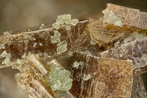 Vesuvianite<br />Morris claims, Banner Ridge, Benton Range, Chidago District, Mono County, California, USA<br />FOV = 3.7mm<br /> (Author: Doug)