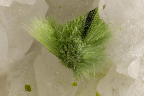 Agardite-(Ce)<br />Mina Clara, Valle Rankach, Oberwolfach, Wolfach, Selva Negra, Baden-Württemberg, Alemania<br />FOV = 2.7 mm<br /> (Author: Doug)